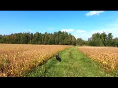 Αεροσκάφη σταθερής πτέρυγας (Fixed Wing)